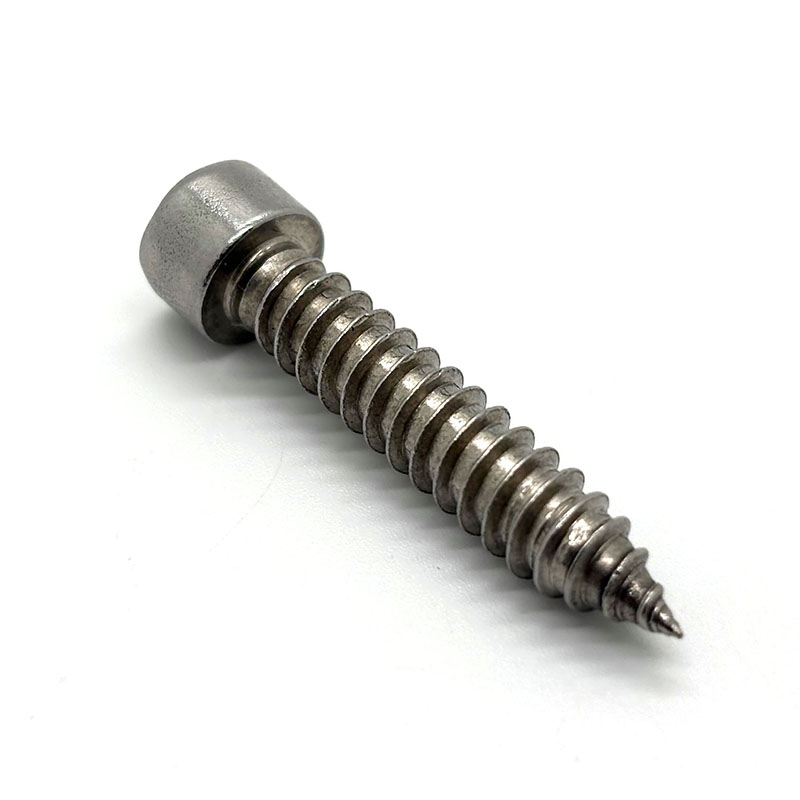 Hexagon Socket Cap Head Self Tapping Screw