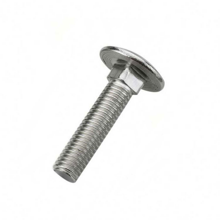 SS304 SS316 DIN603 Carriage Bolt