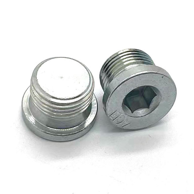 HU08 Hexagon Socket Screw Plugs With ED Sealing Ring