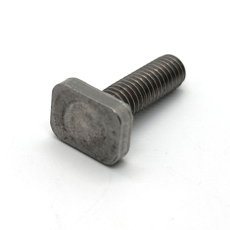 Stainless Steel Square Head T Bolt