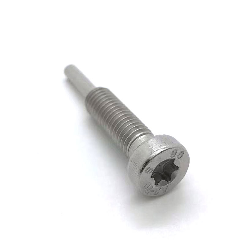 Torx Drive Head Cap Screw With Long Dog Point